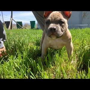 Meet your Posher, Lee